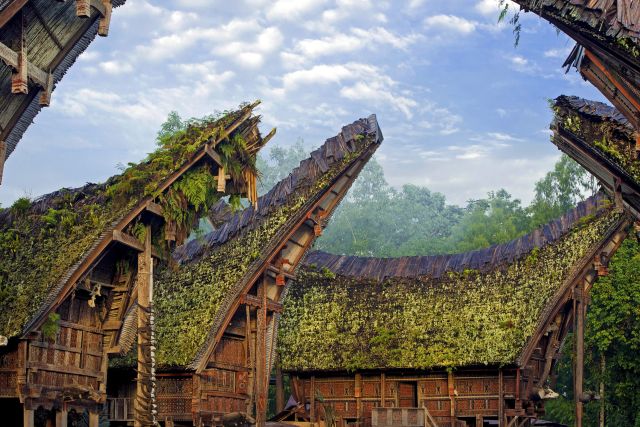 Tongkonan-Häuser in Toraja